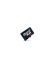 Carte micro SDXC 256Go