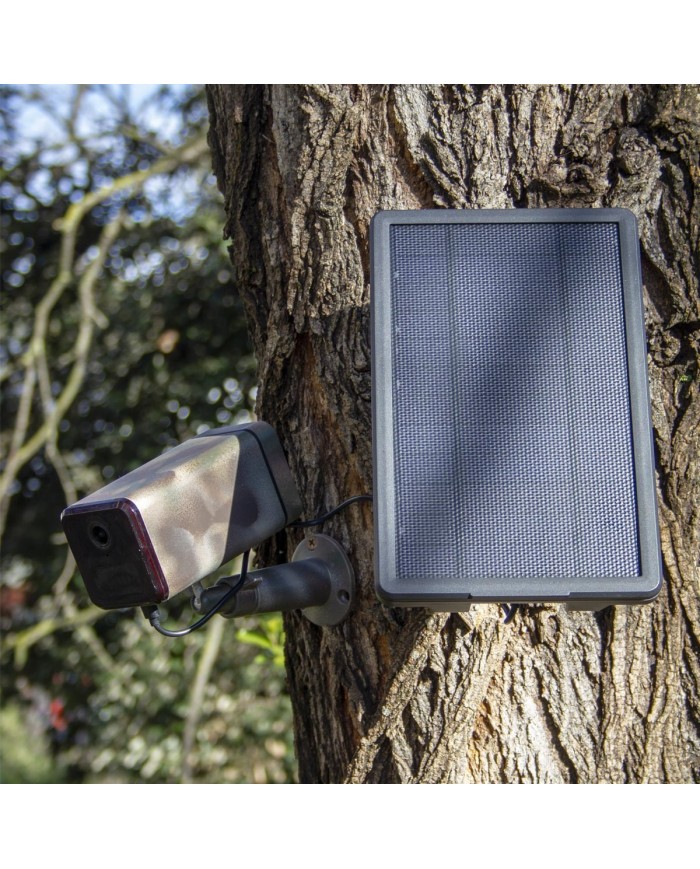 Caméra camouflage autonome solaire connexion 4G ou WiFi enregistrement HD 1080P détection PIR serveur cloud ou MicroSDHC 128 Go