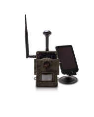 Caméra de chasse HD 1080P IR invisible GPS GSM 4G cloud video et photo Caméra de chasse HD 1080P IR invisible GPS GSM 4G cloud video et photo