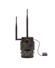 Caméra de chasse 4K IR invisible GPS GSM 4G alerte push envoi photo et vidéo sur application iOS et Android serveur cloud e-mail