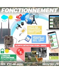 Caméra de chasse 4G UHD 4K IR invisible GPS avec panneau solaire Caméra de chasse 4G UHD 4K IR invisible GPS avec panneau solaire