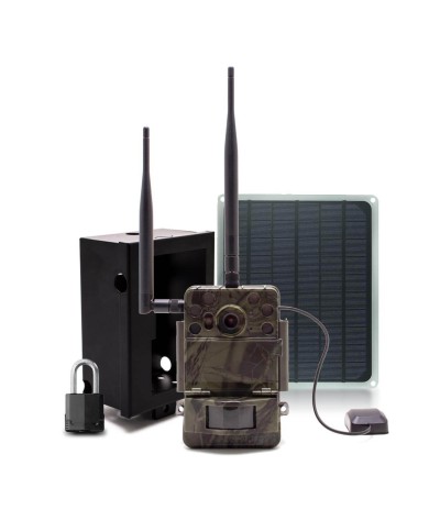 Caméra de chasse 4G Ultra HD 4K IR invisible GPS avec box anti-vandale et panneau solaire Caméra de chasse 4G Ultra HD 4K IR invisible GPS avec box anti-vandale et panneau solaire