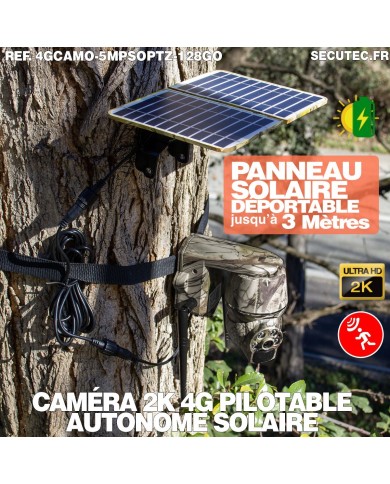 Caméra camouflage pilotable solaire 4G Ultra HD 2K alerte détection humaine AI Caméra camouflage pilotable solaire 4G Ultra HD 2K alerte détection humaine AI