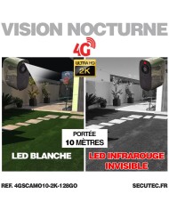 Camera camouflage solaire 4G UHD 2K IR invisible très longue autonomie detection humaine et de mouvement 128Go