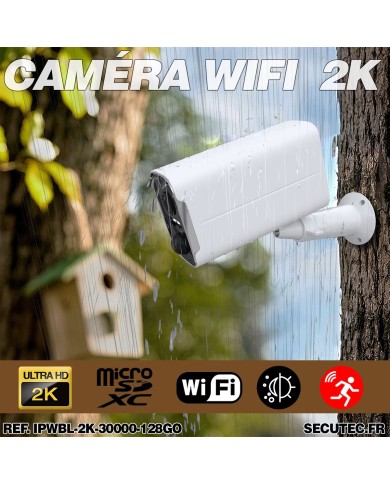 Camera blanche WiFi solaire UHD 2K infrarouge invisible ultra longue autonomie detection de mouvement et humaine 128Go Camera blanche WiFi solaire UHD 2K infrarouge invisible ultra longue autonomie detection de mouvement et humaine 128Go