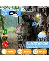 Kit vidéosurveillance camouflage 4G autonome 4 caméras ptz solaires